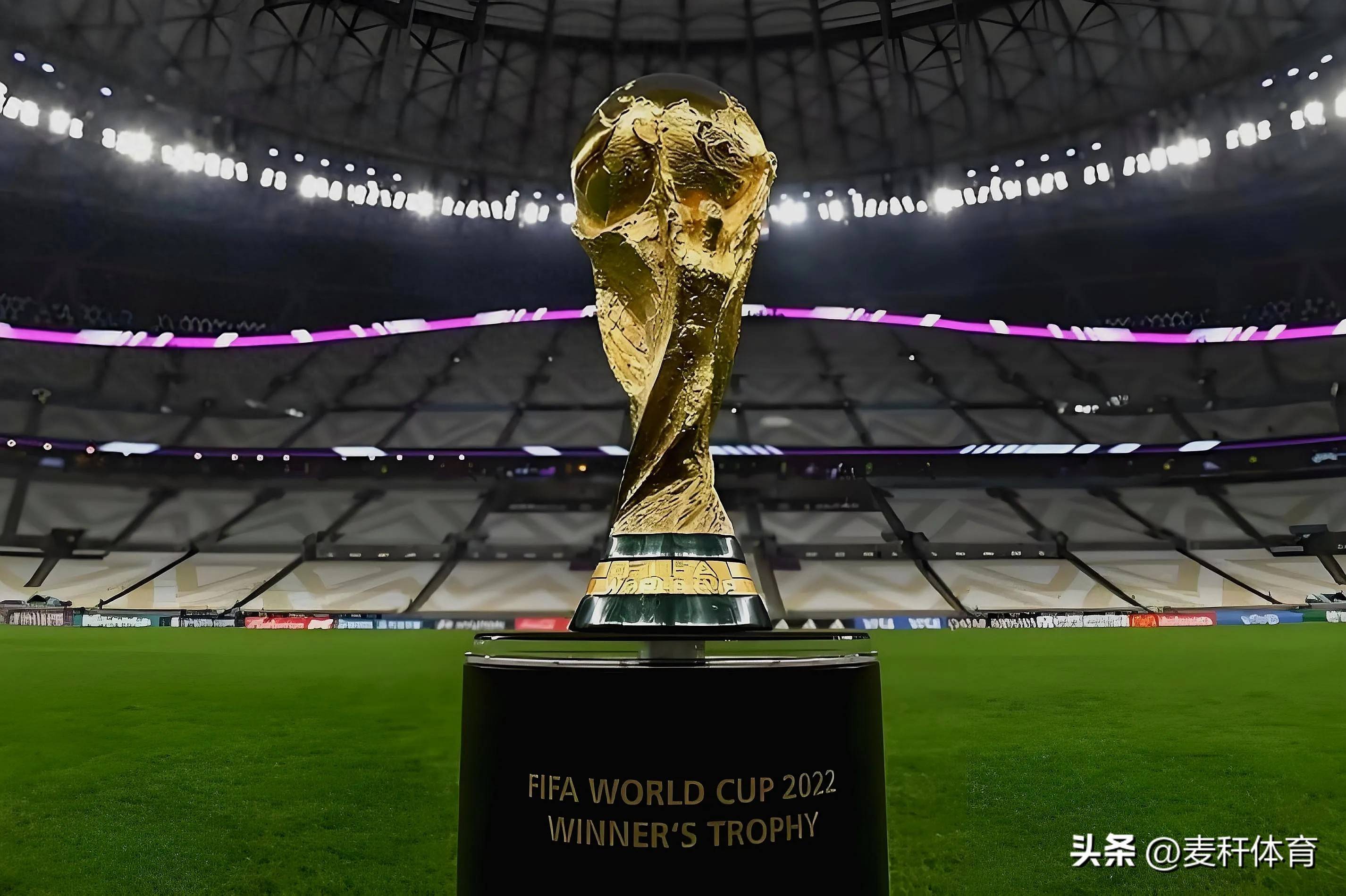 可球迷真正 可球迷真正