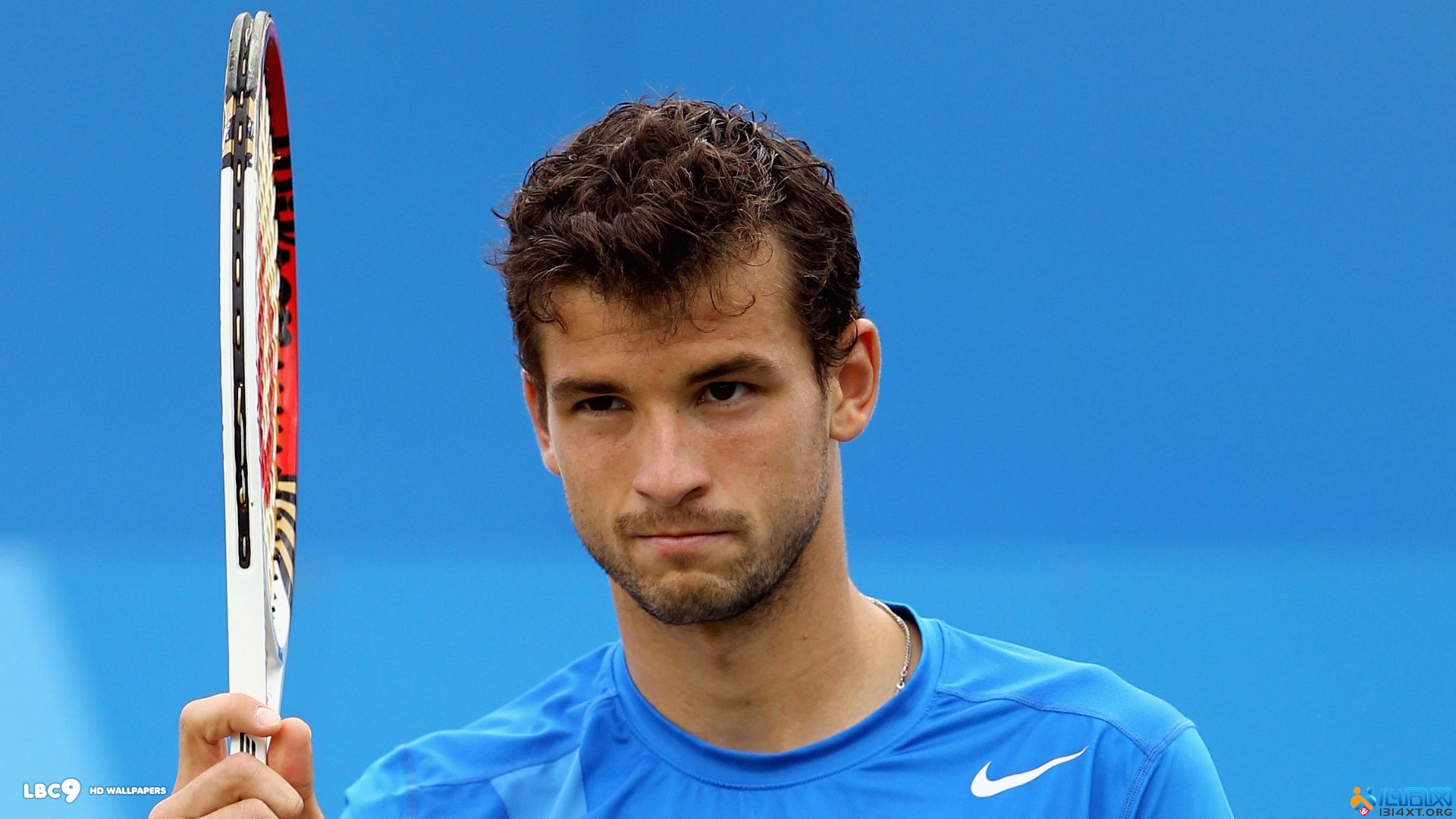 这组回合的 这组回合的